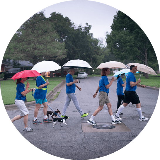 Six adults walking across the street with dogs and umbrellas